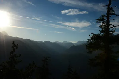 DSC_0076 (Large).JPG